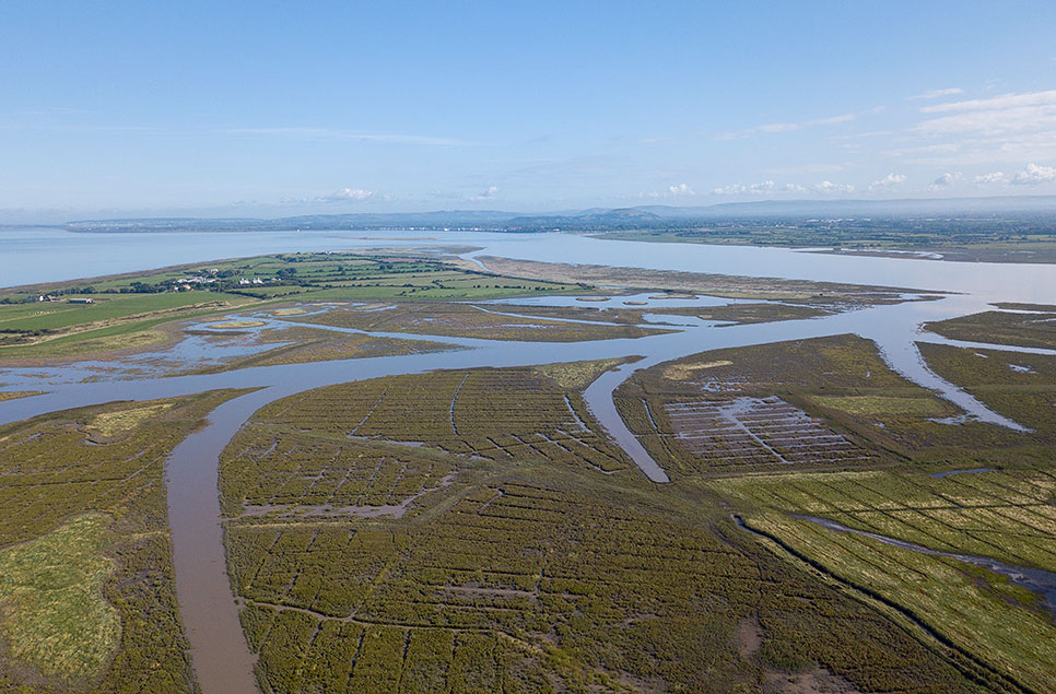 Could creating more mud become as important as tree planting in fight against climate change?