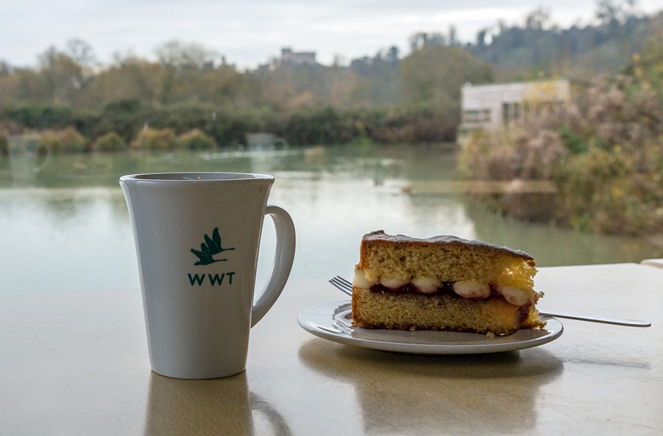 Free  cup of tea or coffee for WWT members