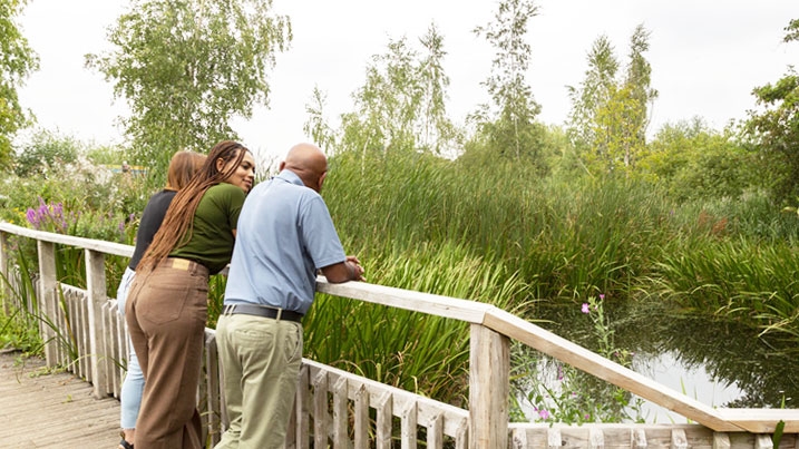 Group of people leaning on a boardwalk overlooking a pool of water with lush summer vegetation