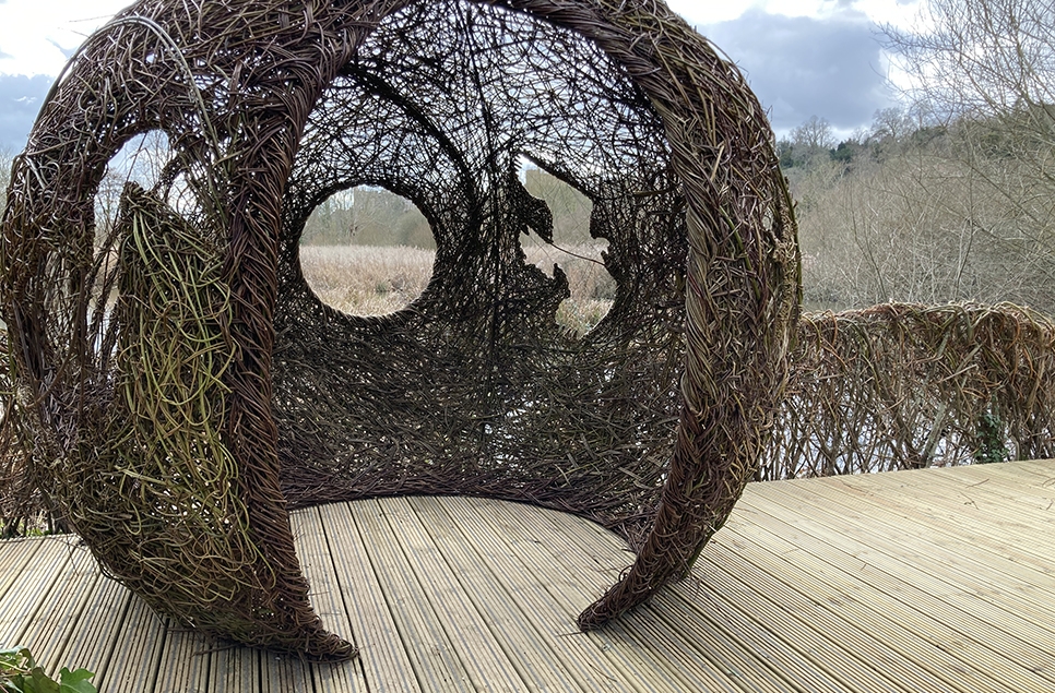 NEW Reedbed Willow Sphere preview for WWT members 