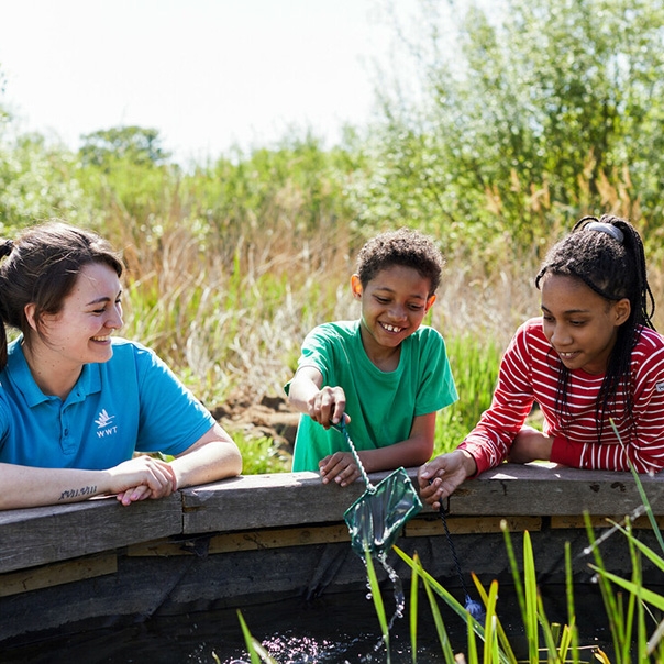 Llanelli Wetland Centre | WWT