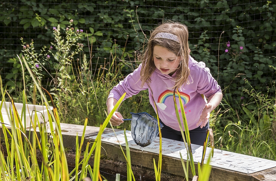 A young girl at the pond zone using a net.