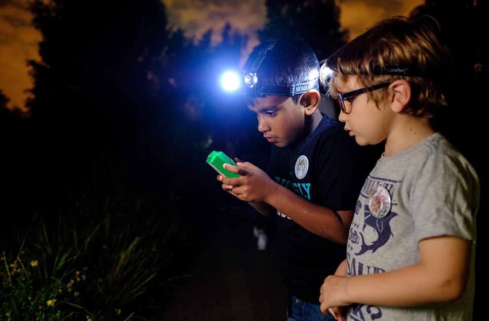 Family bat walk