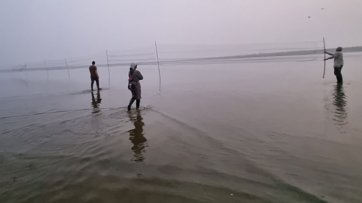 Three people setting up mist nets in shallow water at twilight