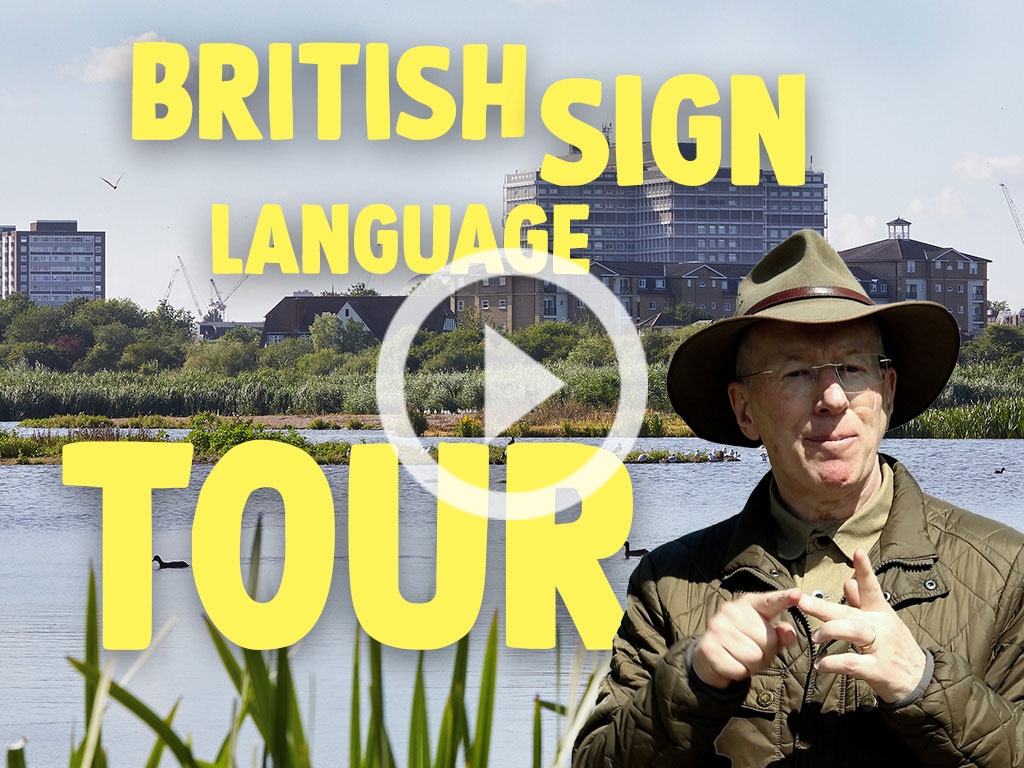 View: British Sign Language (BSL) tours