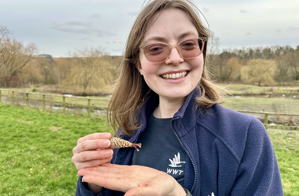 reserve warden Kate holding a pine cone.