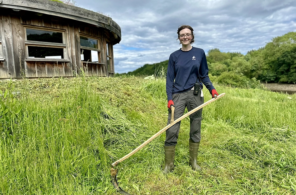 reserve warden Kate using her Austrian scythe to keep vegetation under control near the Lagoon Hide.