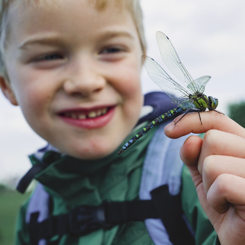 Boy with a dragonfly perched on his finger