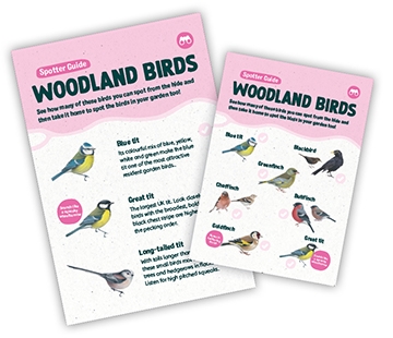 Woodland spotter guides web 360x310px.jpg