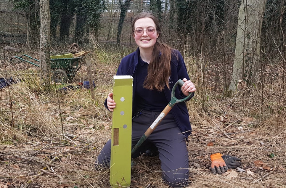 Kate planting new trees