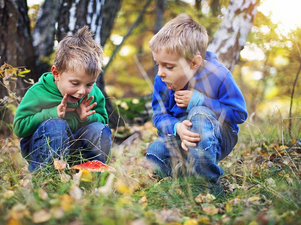 Explore the Super Natural This October Half Term