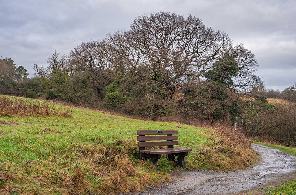 A place to sit at Old Oak Meadow, Spring Gill.