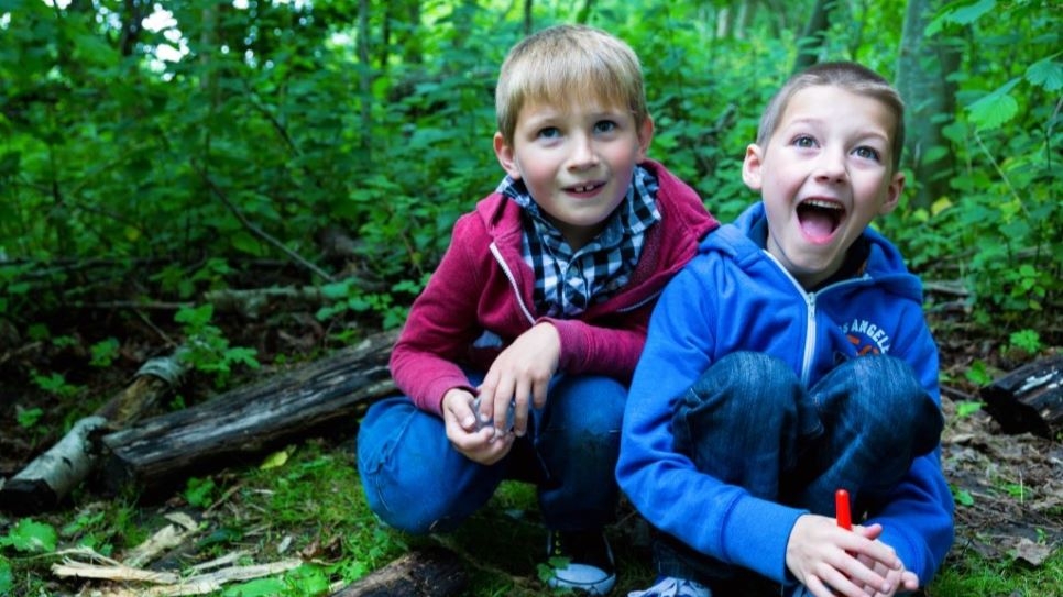 Two boys completing a mini-beast hunt in the woods.