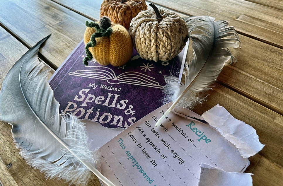 View: Spells and potions