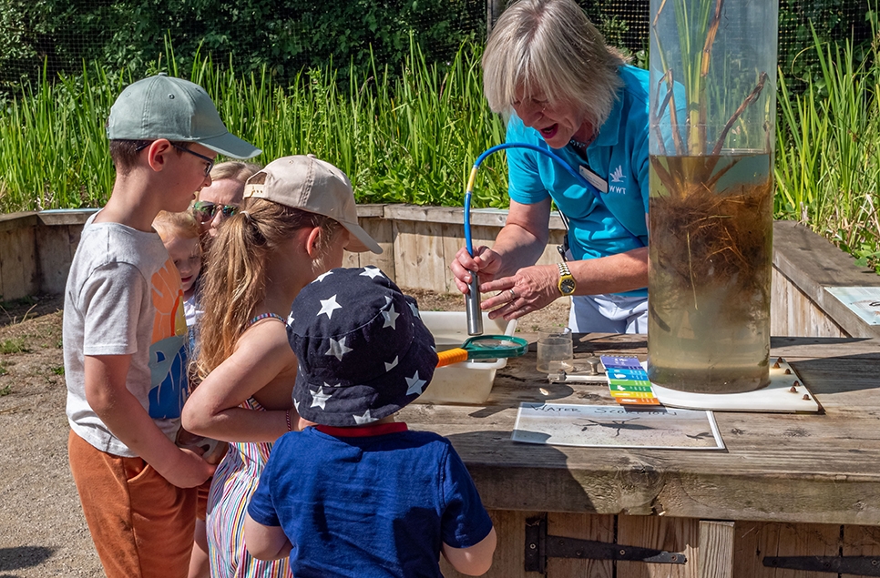 Joanne Newbury, Learning Manager showing children what they have found at Pond Dipping under a microscope.