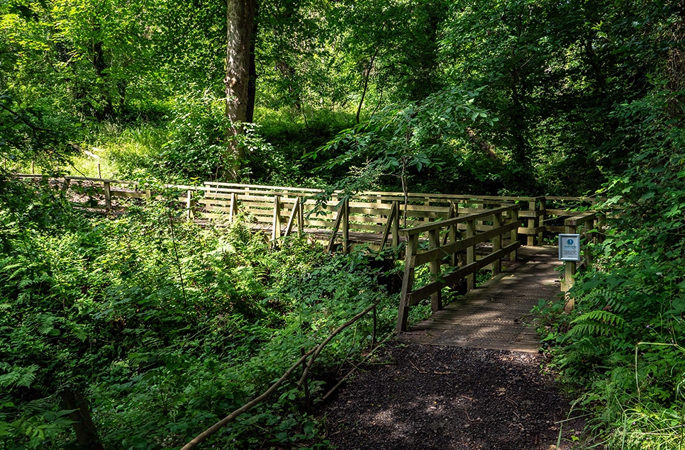 Spring Gill Bridge