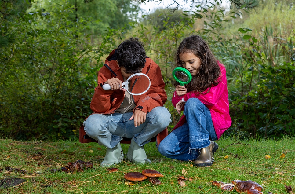 two children looking at fungi through a magnifying glass