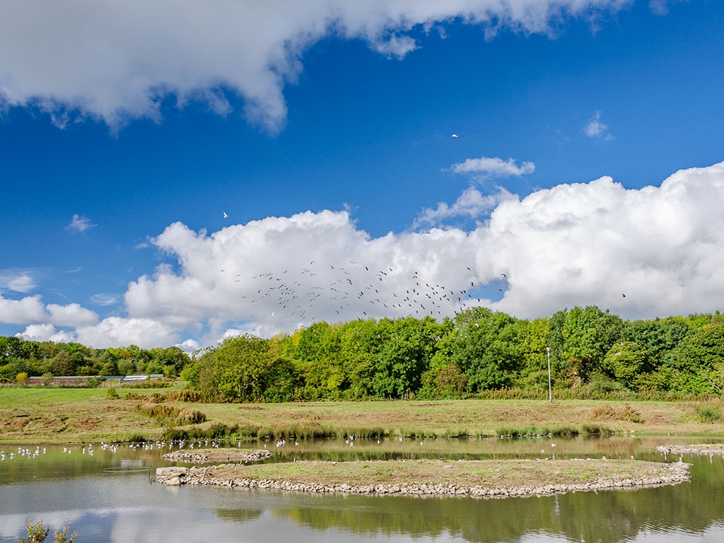 Wader Lake in bright sunlight, by Ian Henderson