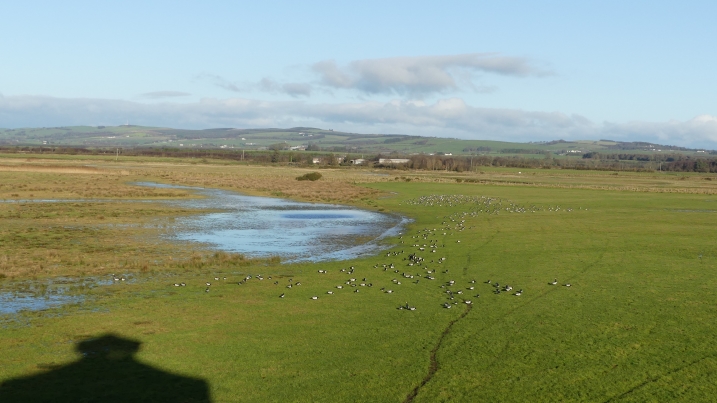 barnies in the shadow of the avenue tower by marianne nicholson.JPG