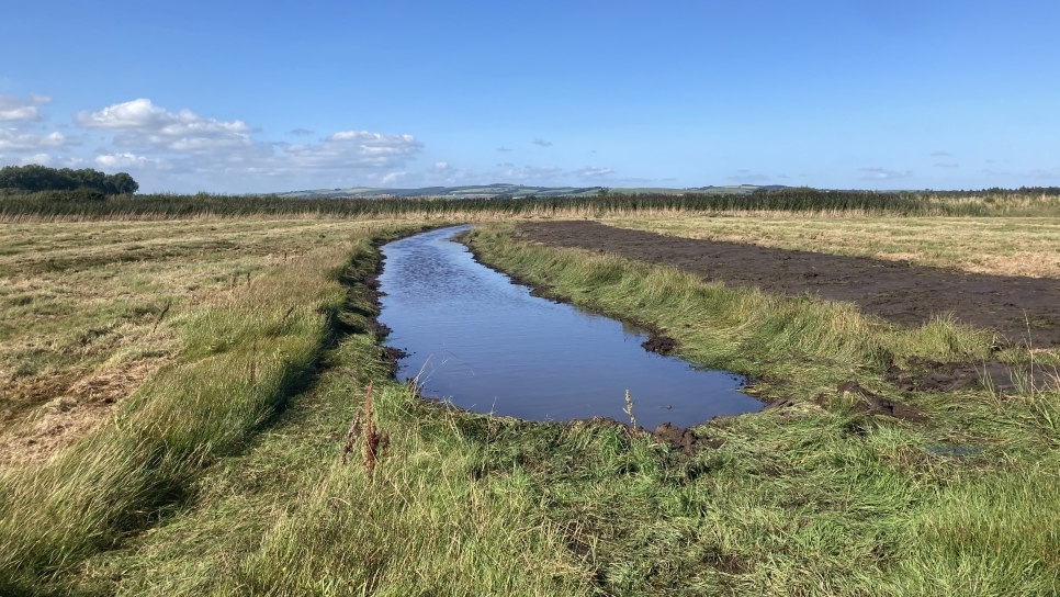 Twelve hectares brimming with variety: The Wilder, Wetter Caerlaverock Diaries no.6