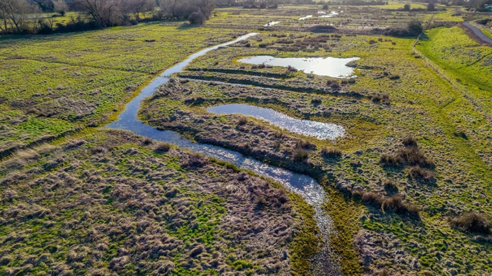 The Meads - floodplain grazing marsh restoration