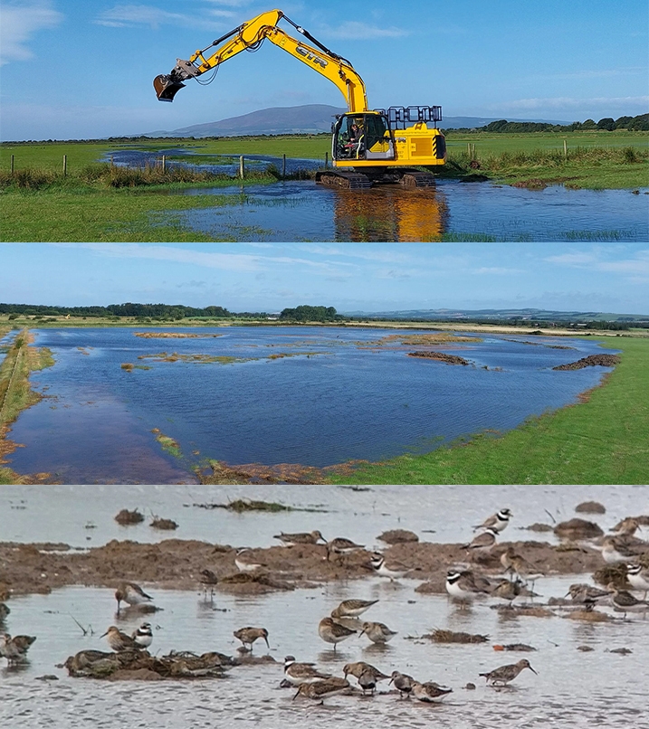 A digger working in a wetland landscape