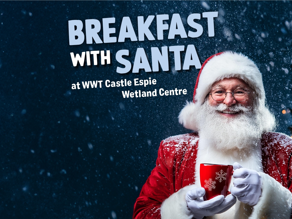 View: Breakfast with Santa