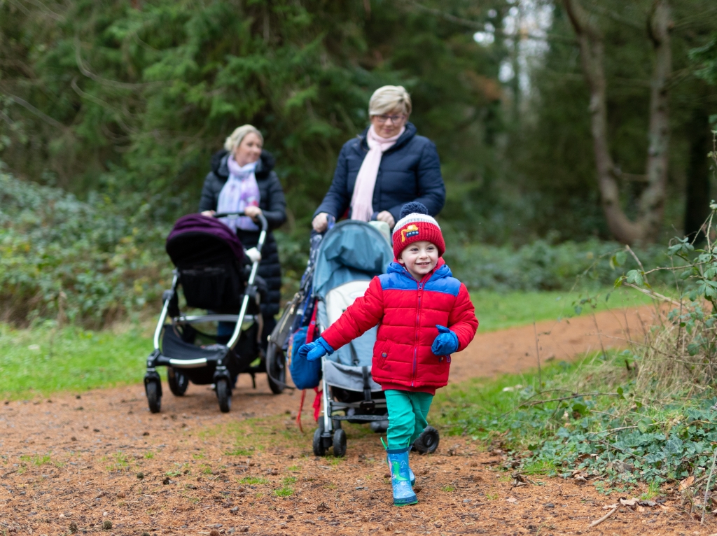 View: Wild Welly Walks