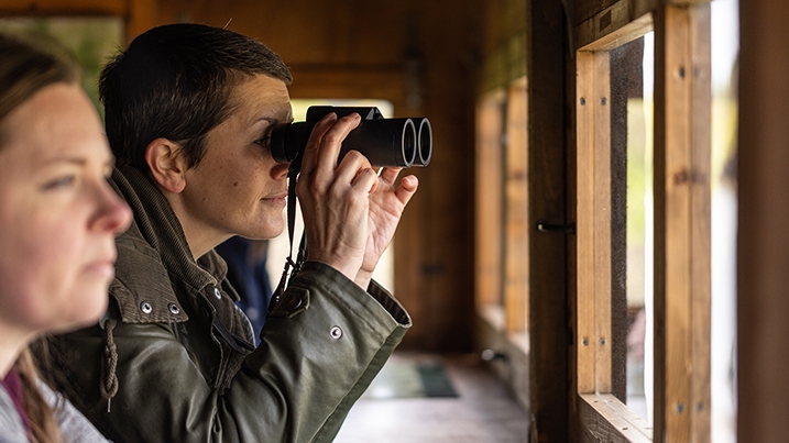 Visitors using binoculars in a hide