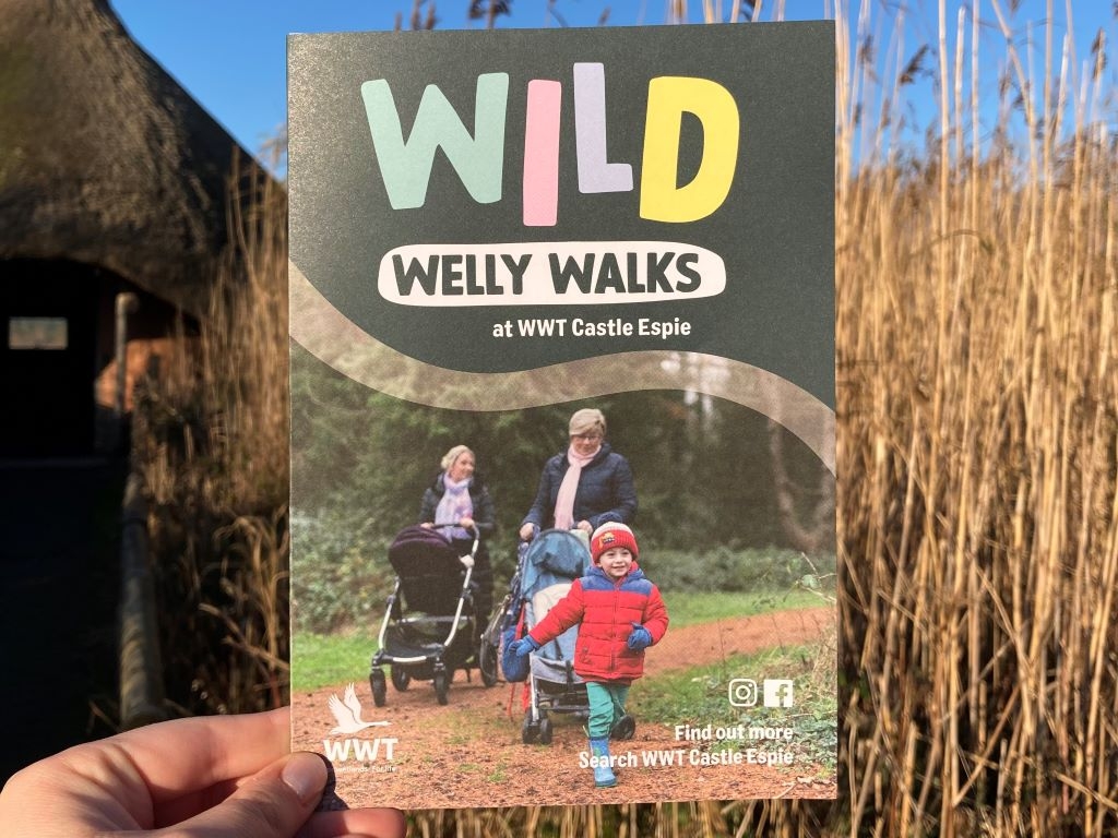 A Wild Welly Walk booklet held in front of the reedbeds at Castle Espie.