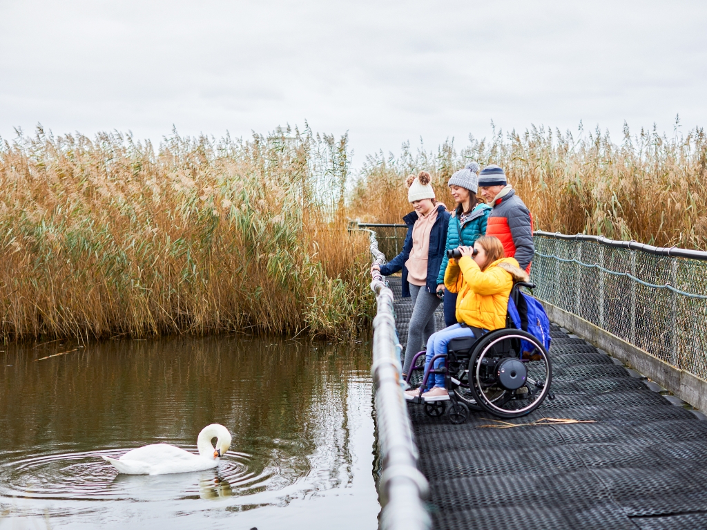 Top 5 things to do this Christmas at WWT Castle Espie