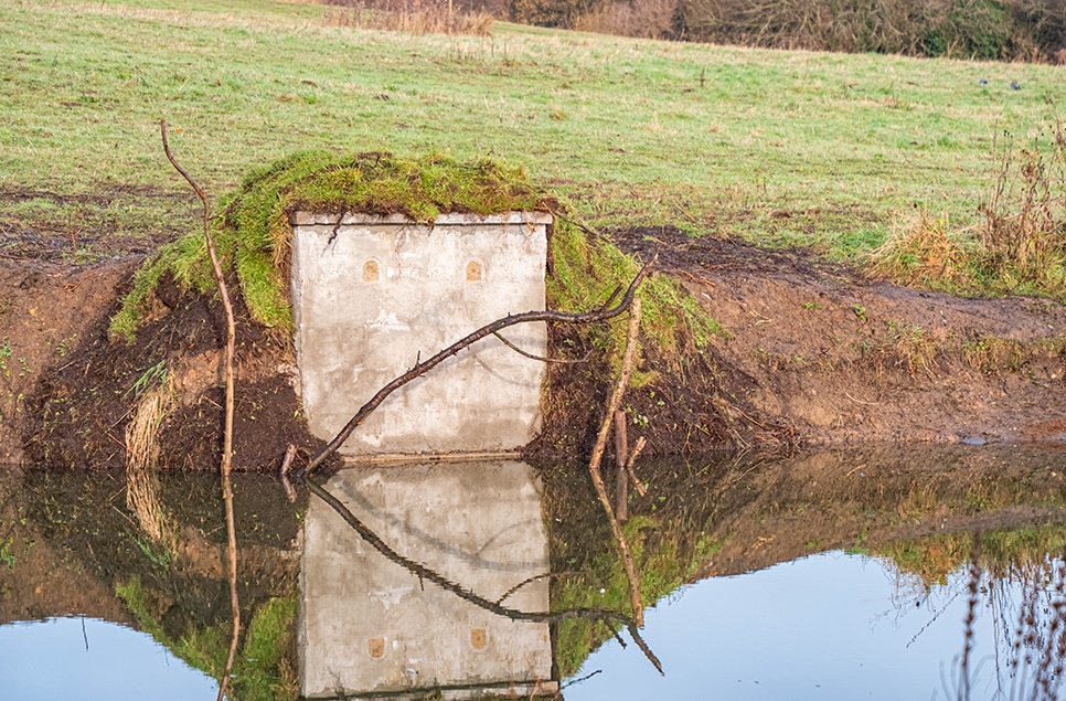 Kingfisher wall - finished - Dec 24 966x635.jpg