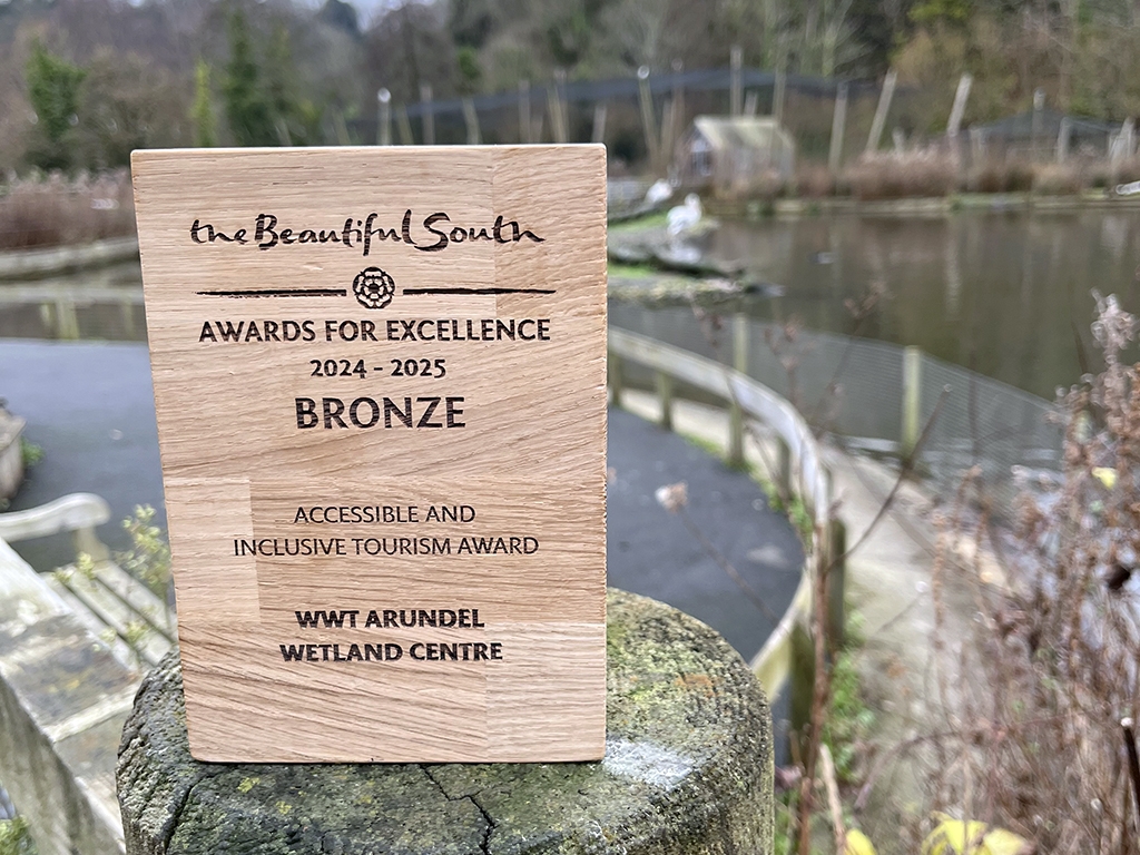 WWT Arundel awarded Bronze in Accessibility & Inclusivity