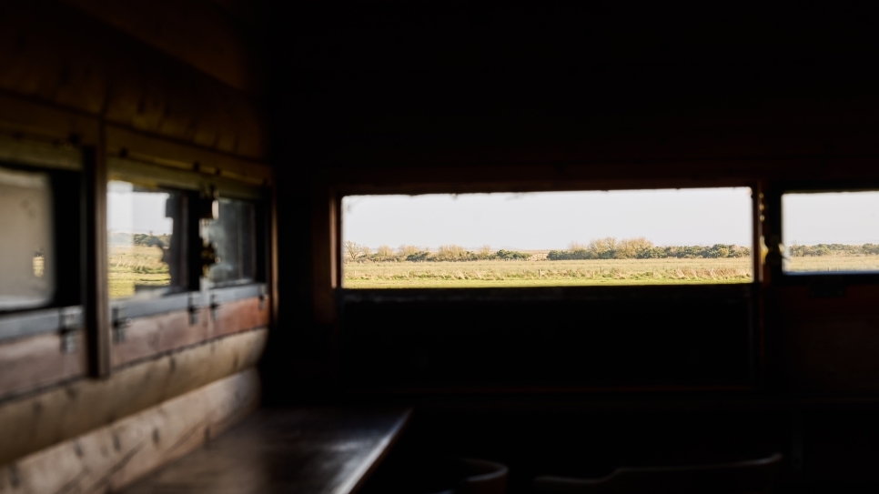 View: Discover WWT Caerlaverock: A Window onto our Work