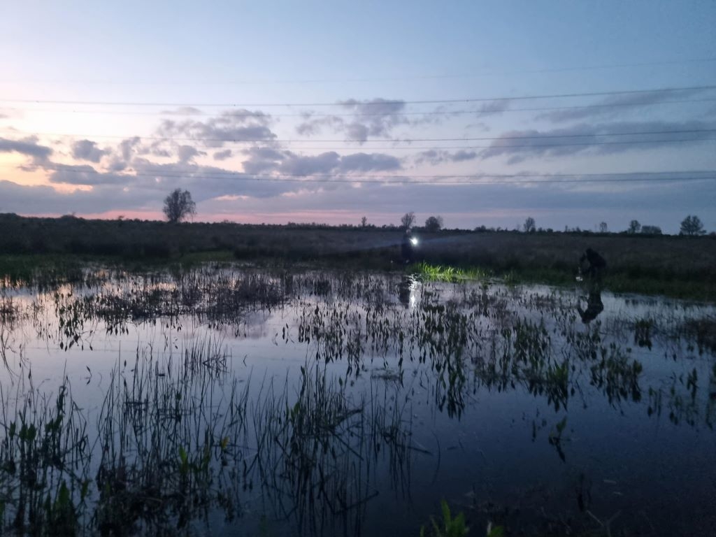 Wetter for Waders Update