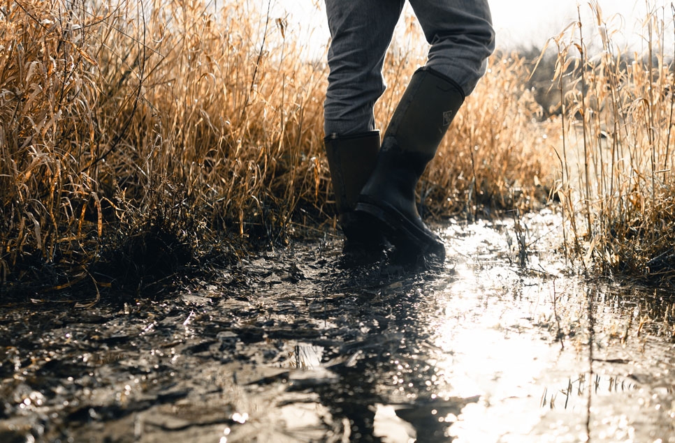 Get lost in your own adventure this World Wetlands Day