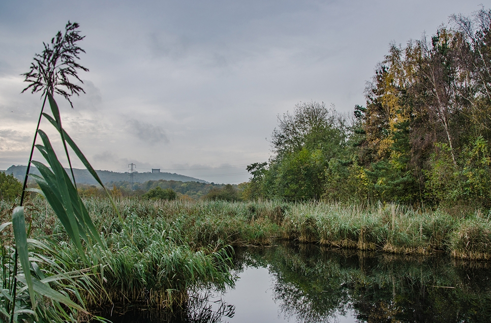 CREDIT Ian Henderson - View of Penshaw from WWT Washington 966x635.jpg