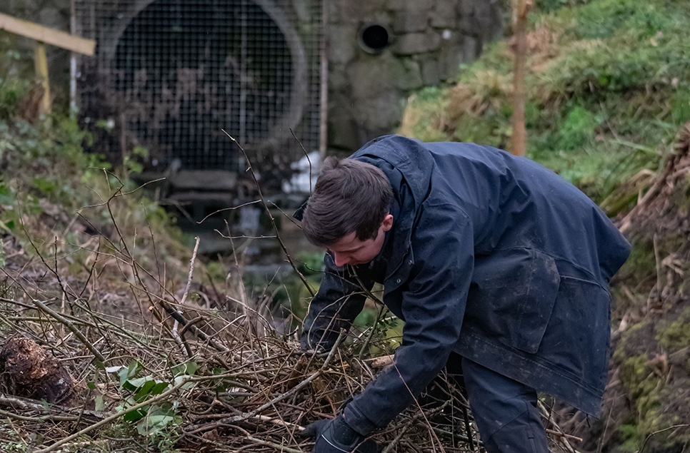 Matt G clearing site and pathways