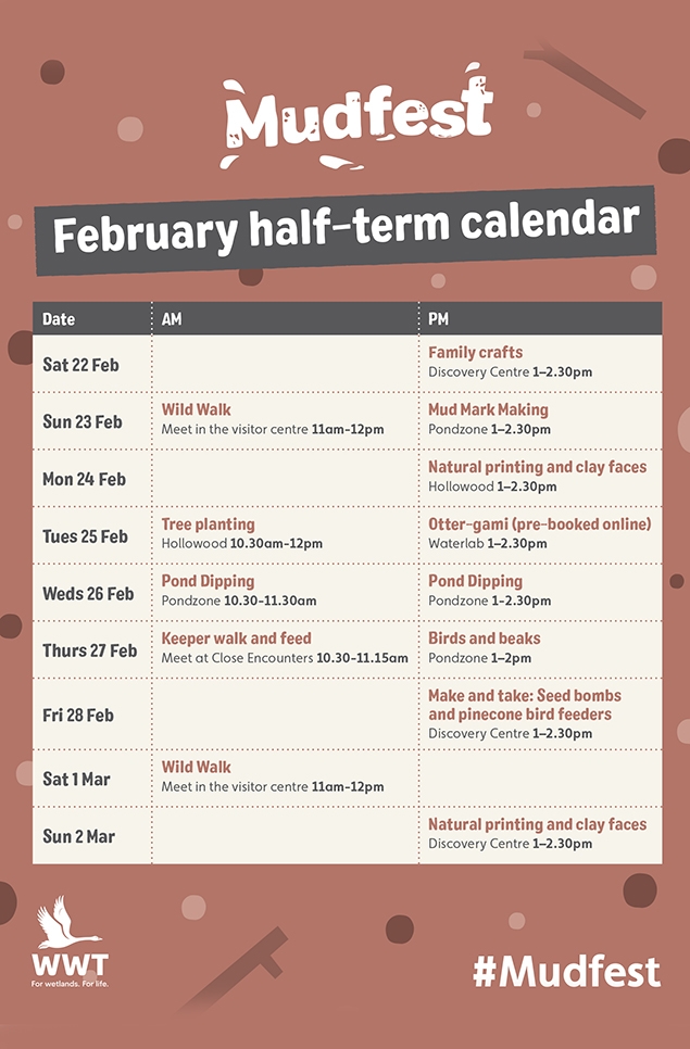 Feb half term 2025 - daily activities 966x635.jpg