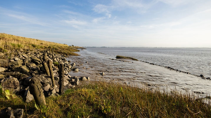 The banks of the River Severn at Awre