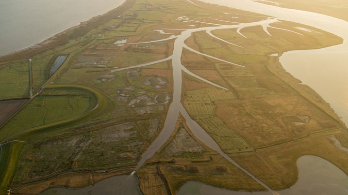 Aerial view of WWT Steart Marshes wetland reserve in Somerset, UK