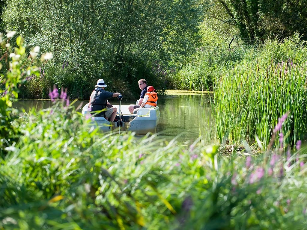 Visit WWT Arundel