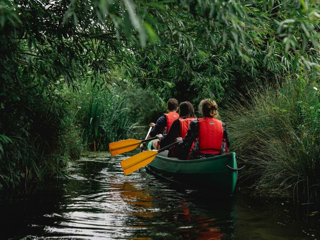 Visit WWT Slimbridge