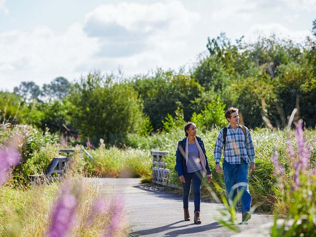 Visit WWT London