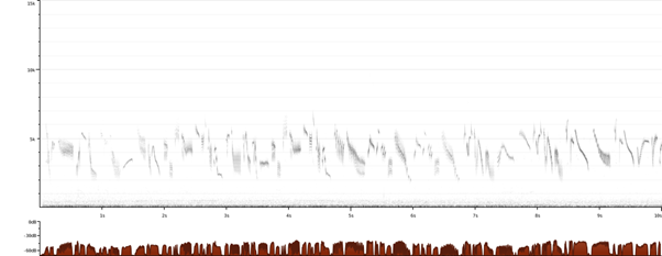 skylark sonograph.png