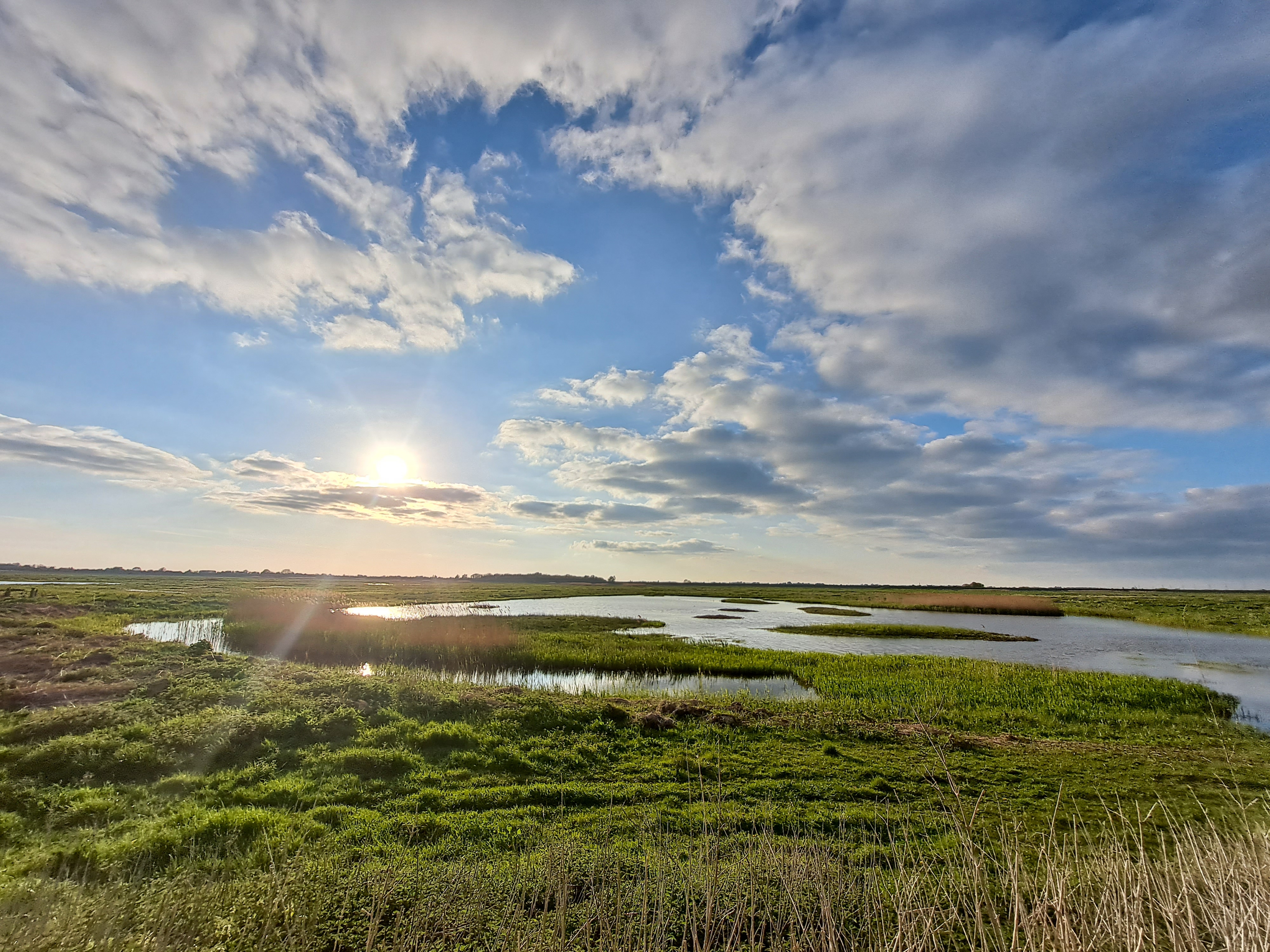 Discover Welney