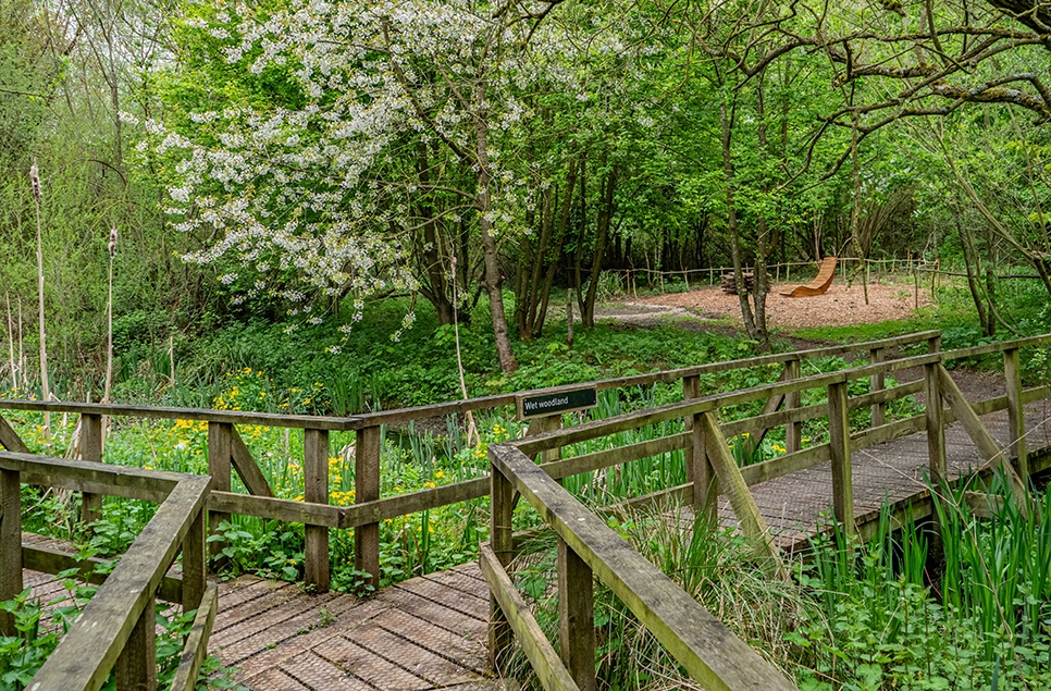 WWT Washington's Wet Wood reopens to the public