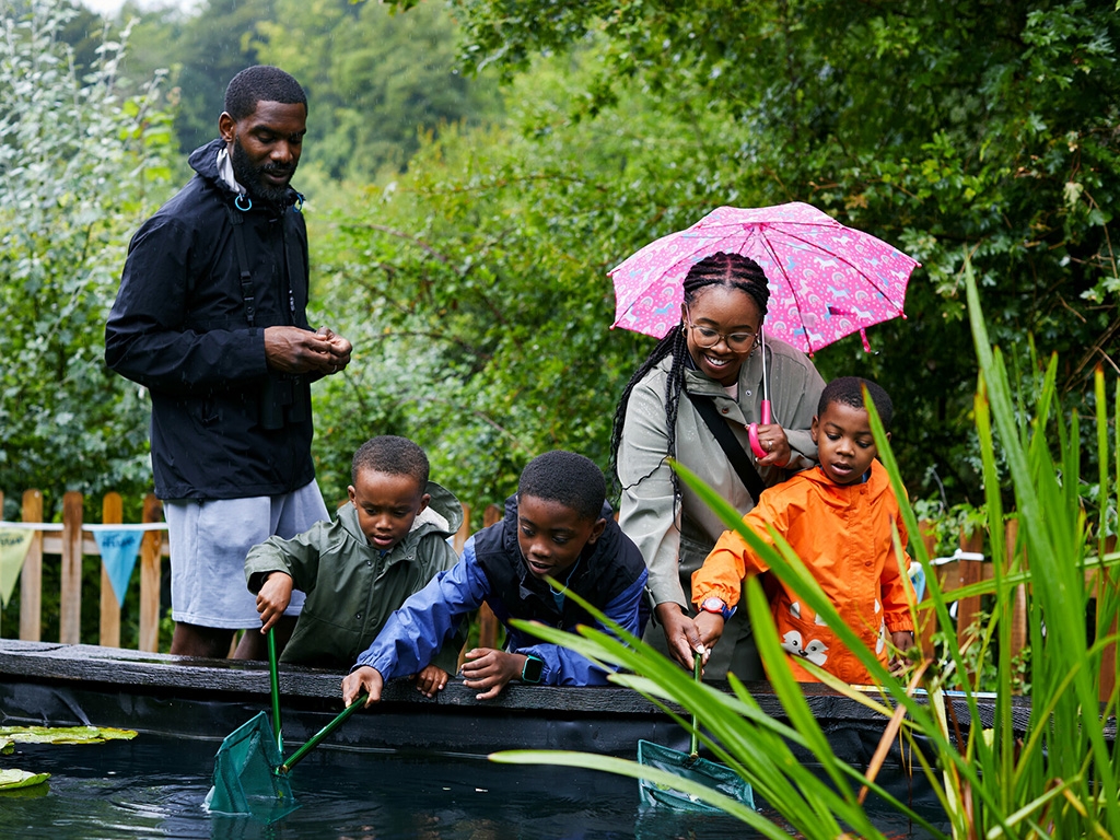 Wetland Exploring Whatever the Weather