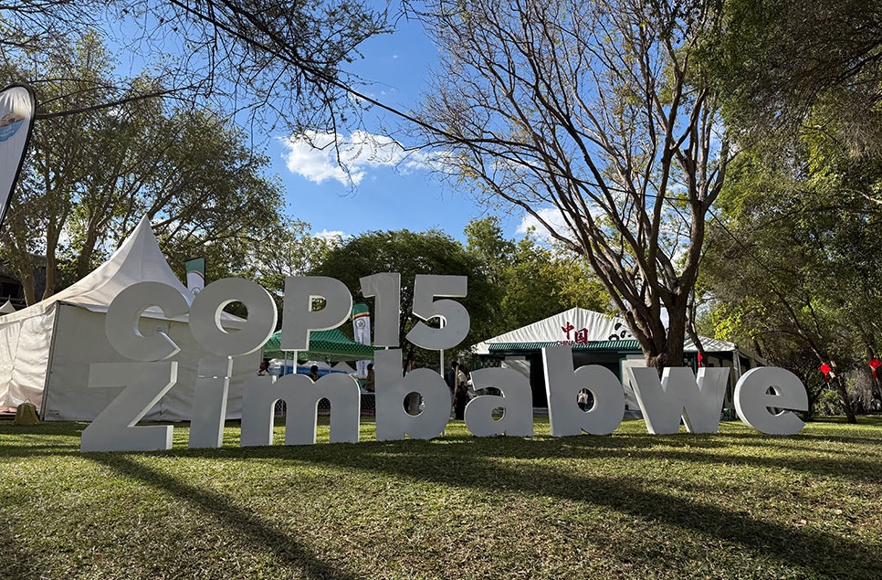 COP15 has ended – what does this mean for wetlands?