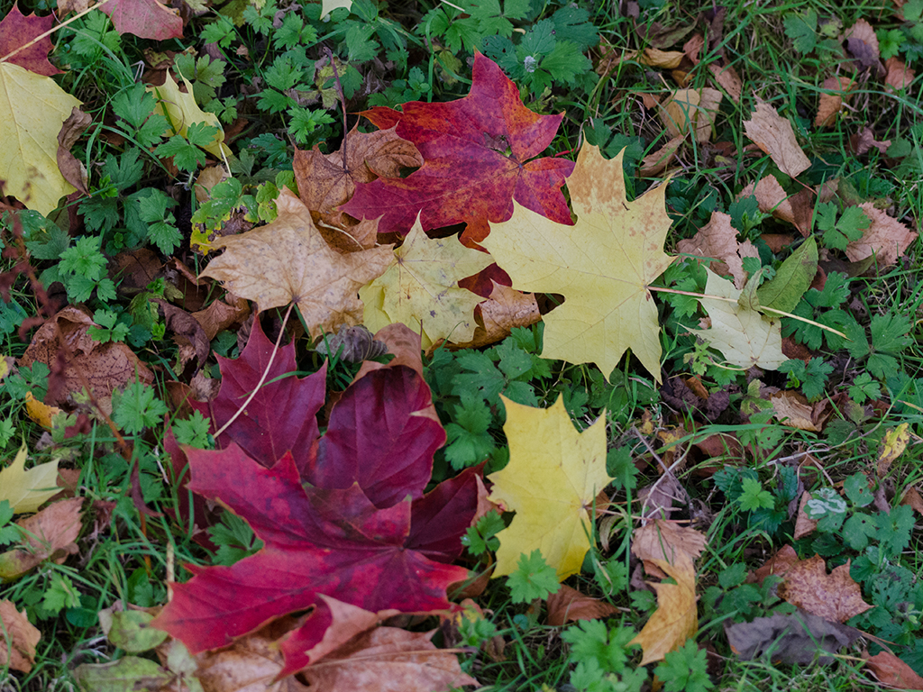 Opening time at noon on Oct 13 & 14